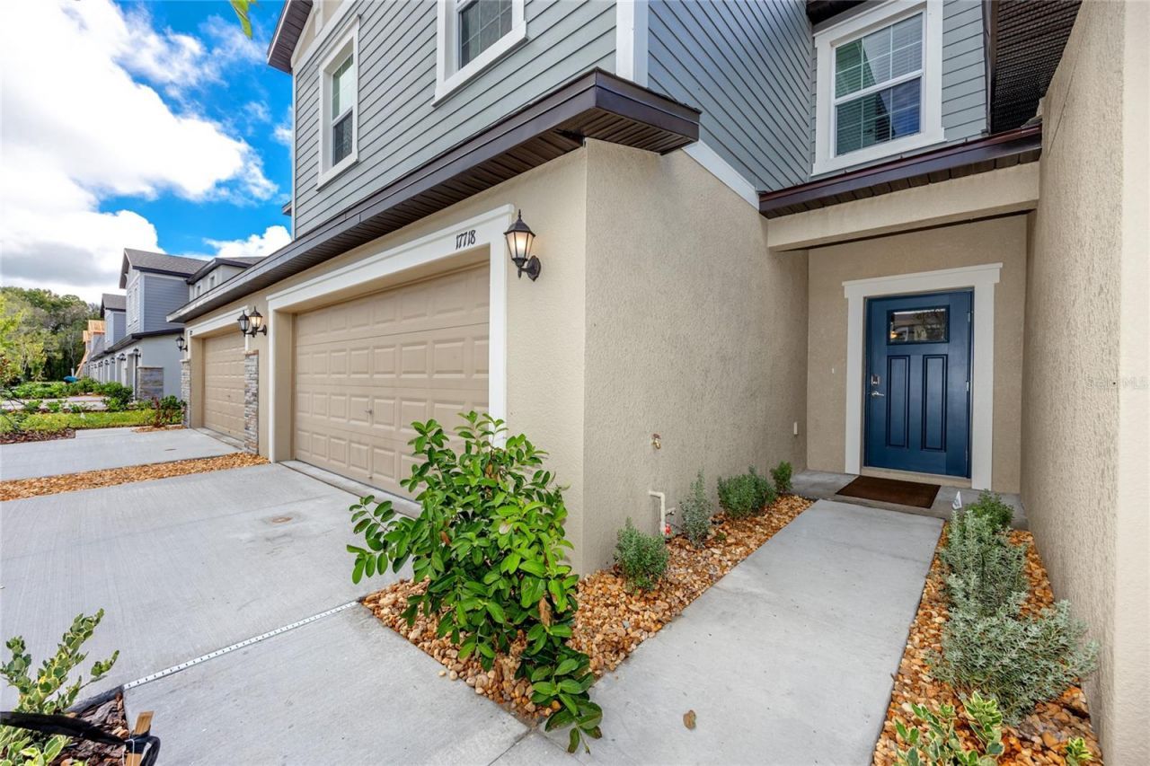 17718 Nectar Flume Drive, Land O Lakes, FL 34638 Main Photo