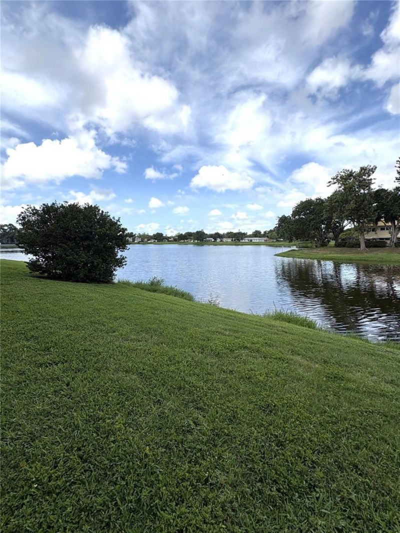 1200 37th Street N, Unit 107, Saint Petersburg, FL 33713 Photo