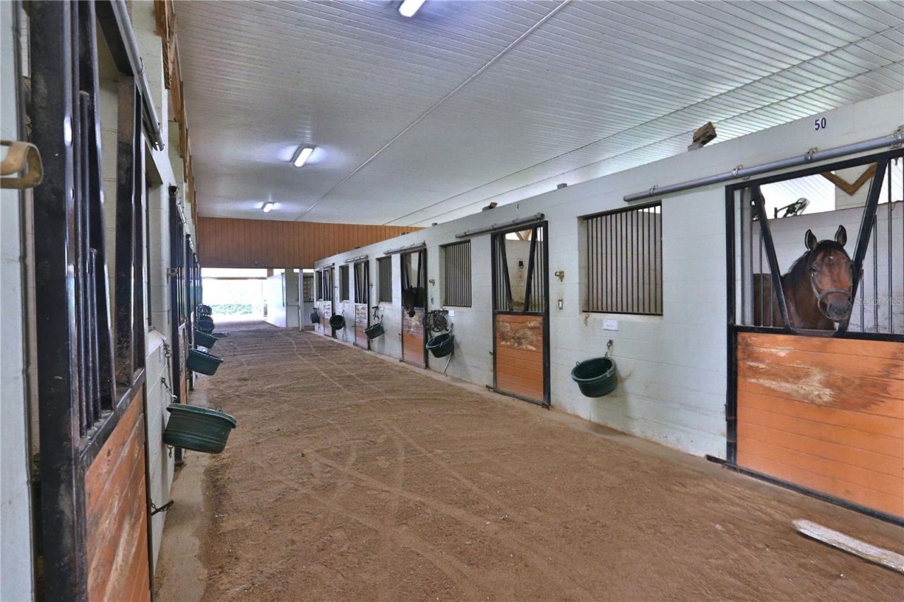 19431 NE 17th Place, Williston, FL 32696 Photo
