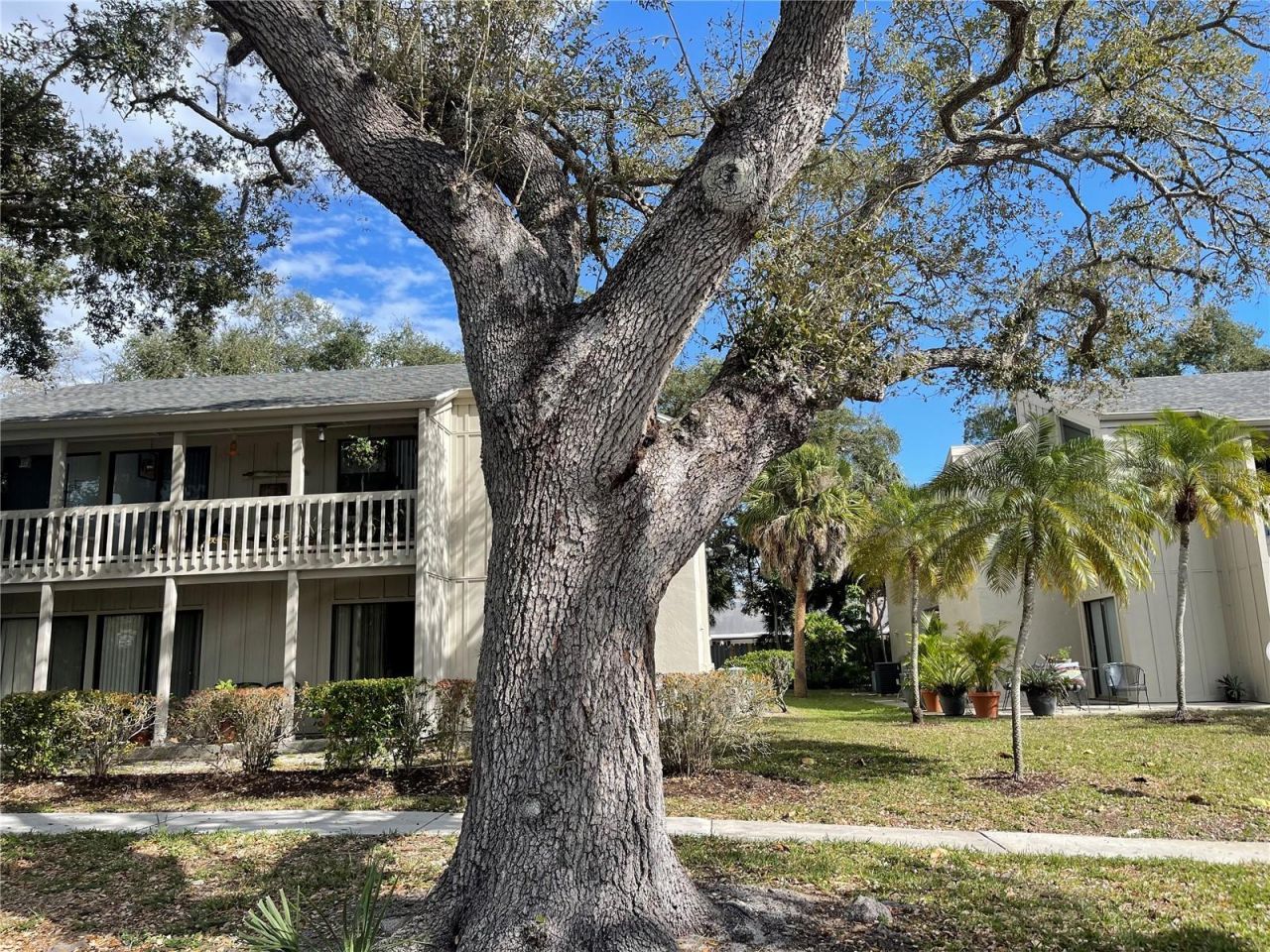 2224 Bahia Vista Street , Unit E6, Sarasota, FL 34239 Main Photo