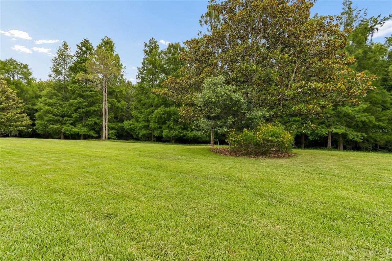 136 Sorrento Rd, Poinciana, FL 34759 Photo
