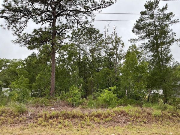 FISHER LANE TERRACE , OCKLAWAHA, FL 32179
