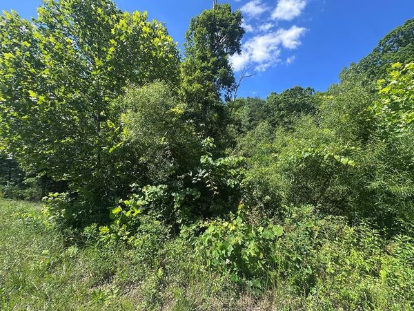 1020 Tomahawk Rd, Jamestown, TN 38556