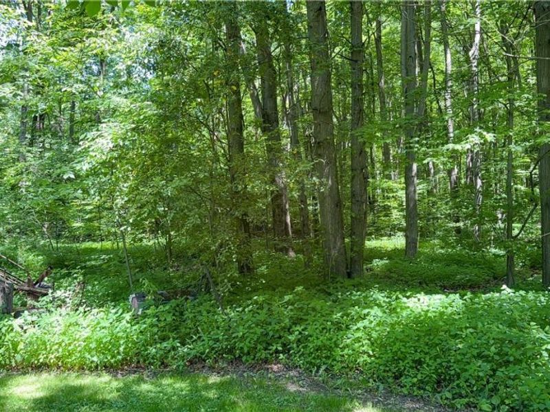 9621 Wolfe Road , Windham, OH 44288 Photo 35