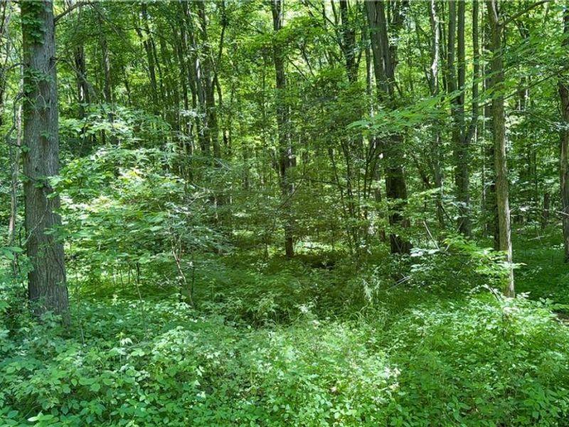 9621 Wolfe Road , Windham, OH 44288 Photo 36