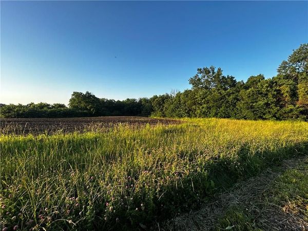 252 SW 601st rd Road, Centerview, MO 64019