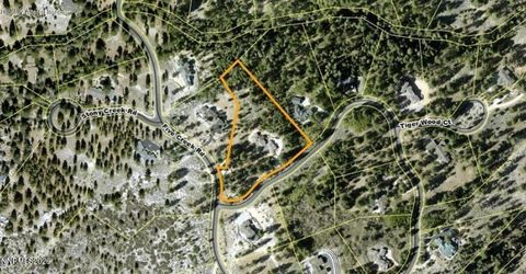 271 Forest Hill Way, Gardnerville, NV 89460 Photo