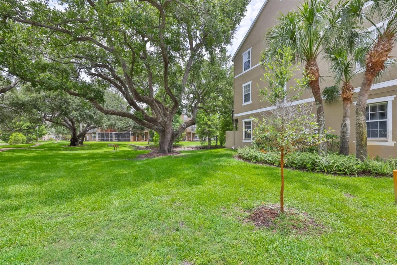 3002 Bayshore Pointe Drive , Tampa, FL 33611 Photo