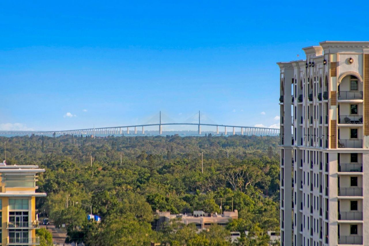 777 3rd Avenue N, Unit 1408, Saint Petersburg, FL 33701 Photo