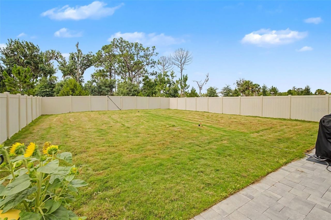 17315 Wheatberry Boulevard , Parrish, FL 34219 Photo