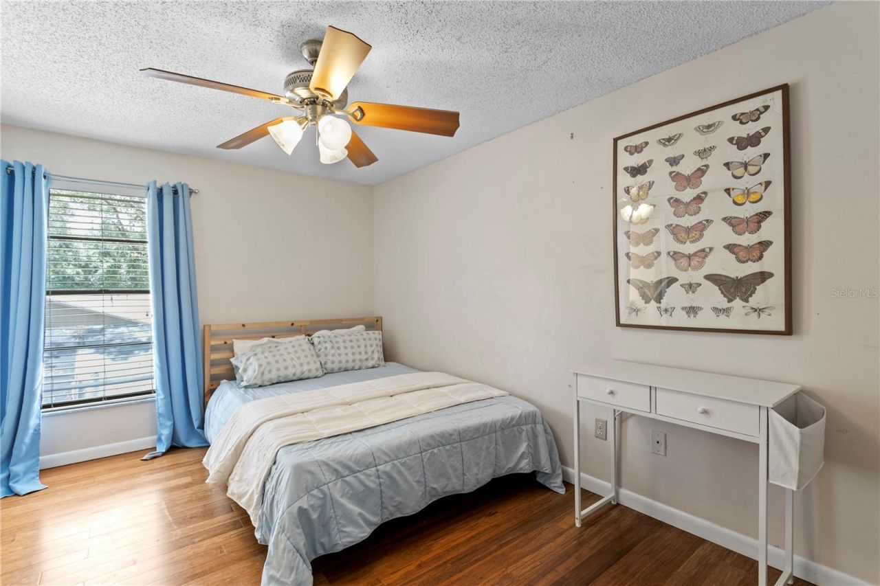 12603 Rain Forest Street , Temple Terrace, FL 33617 Photo