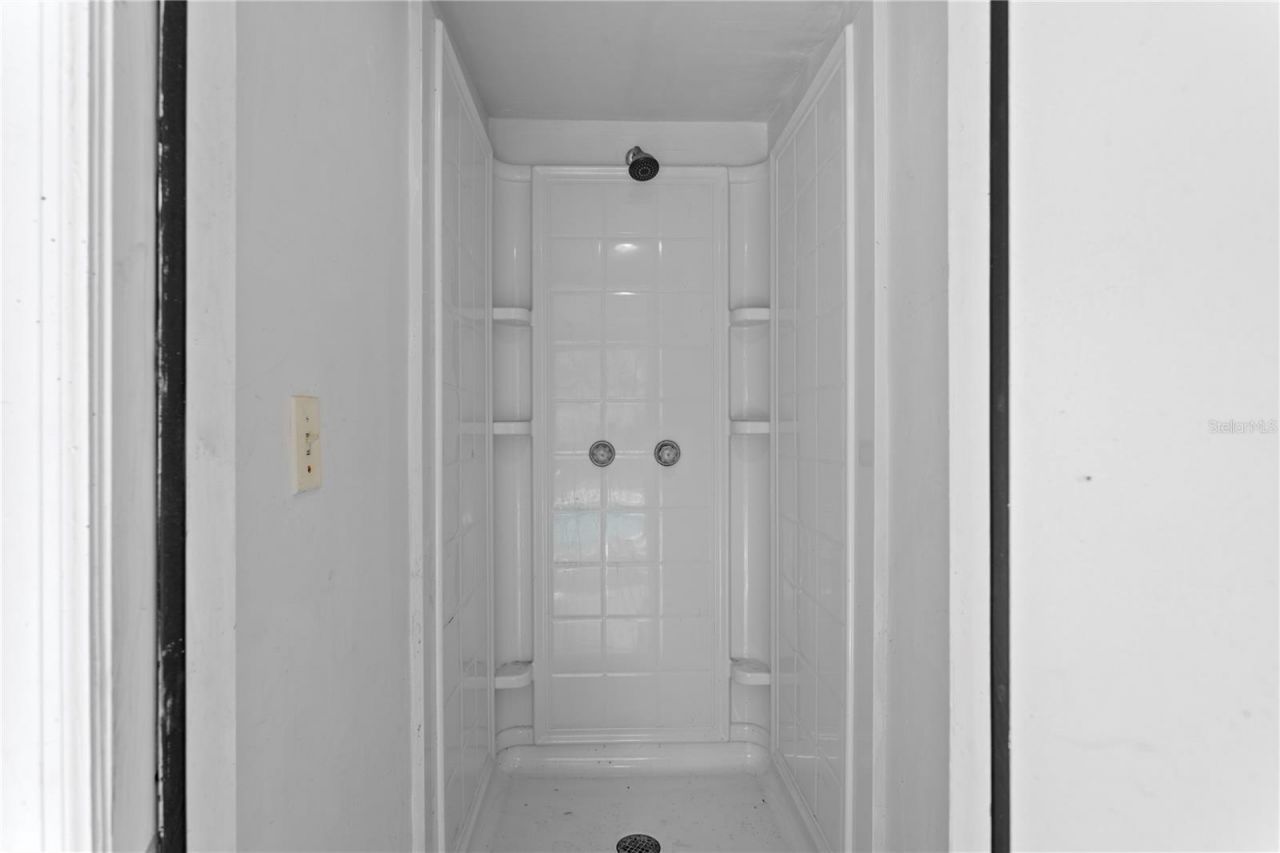 12603 Rain Forest Street , Temple Terrace, FL 33617 Photo
