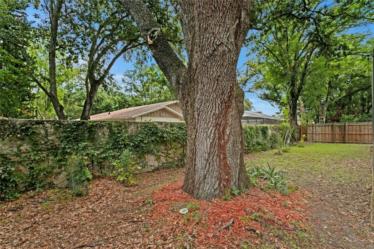 12603 Rain Forest Street , Temple Terrace, FL 33617 Photo