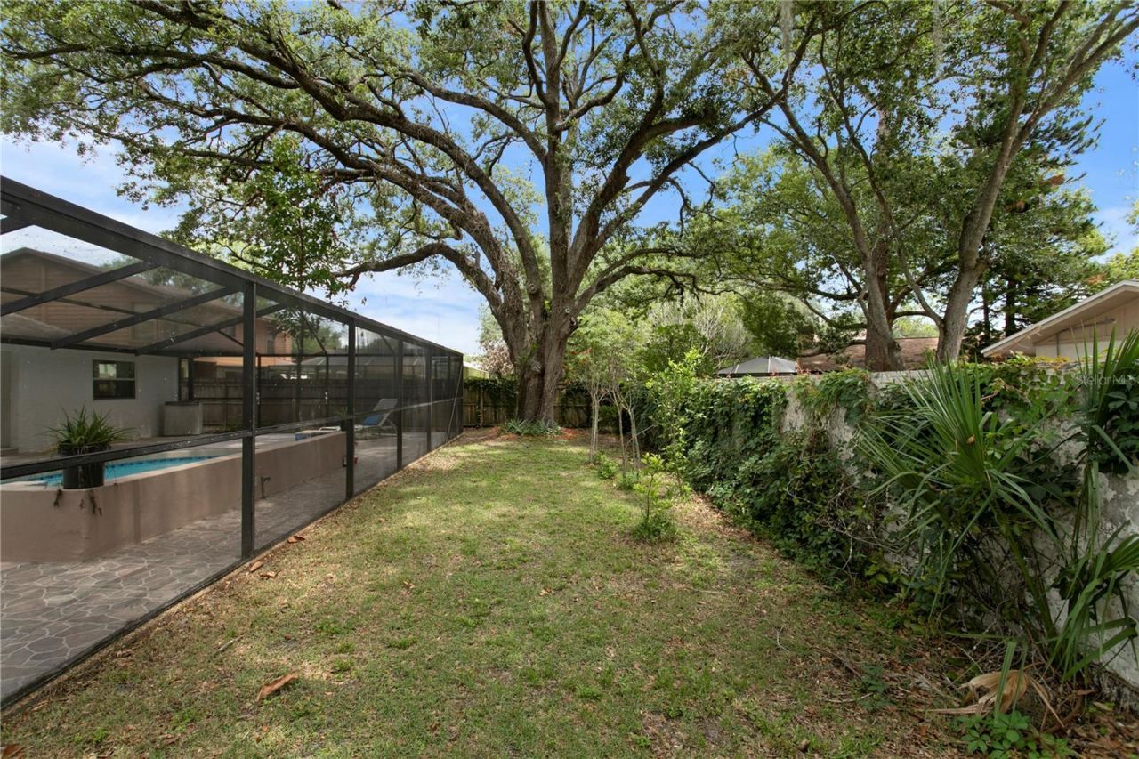 12603 Rain Forest Street , Temple Terrace, FL 33617 Photo