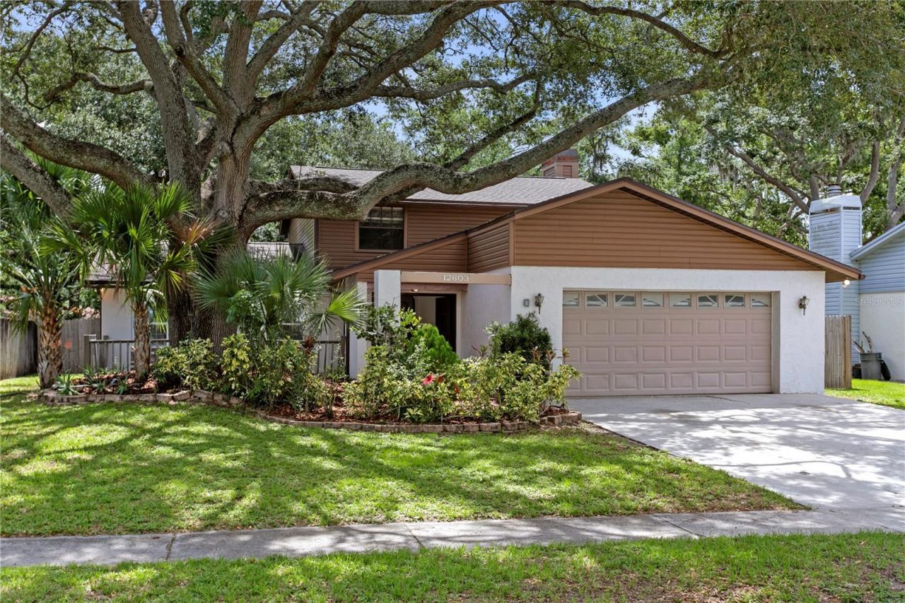 12603 Rain Forest Street , Temple Terrace, FL 33617 Photo