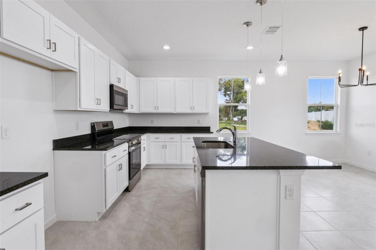 3712 Watercliff Circle, Grand Island, FL 32735 Photo