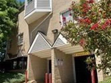 1010 Allen Street, Unit 231, Dallas, TX 75204