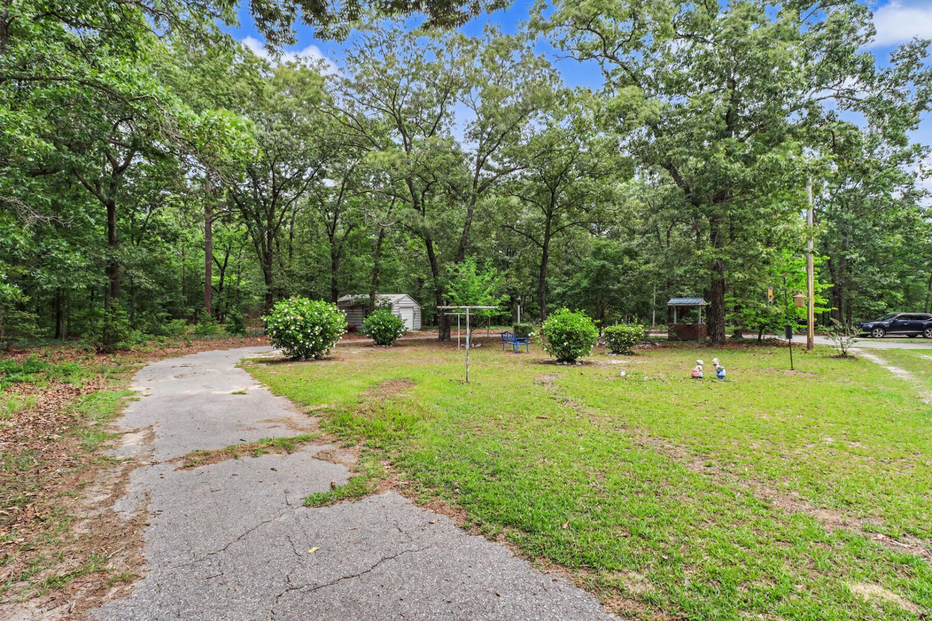 39 Rosa Drive Photo 37