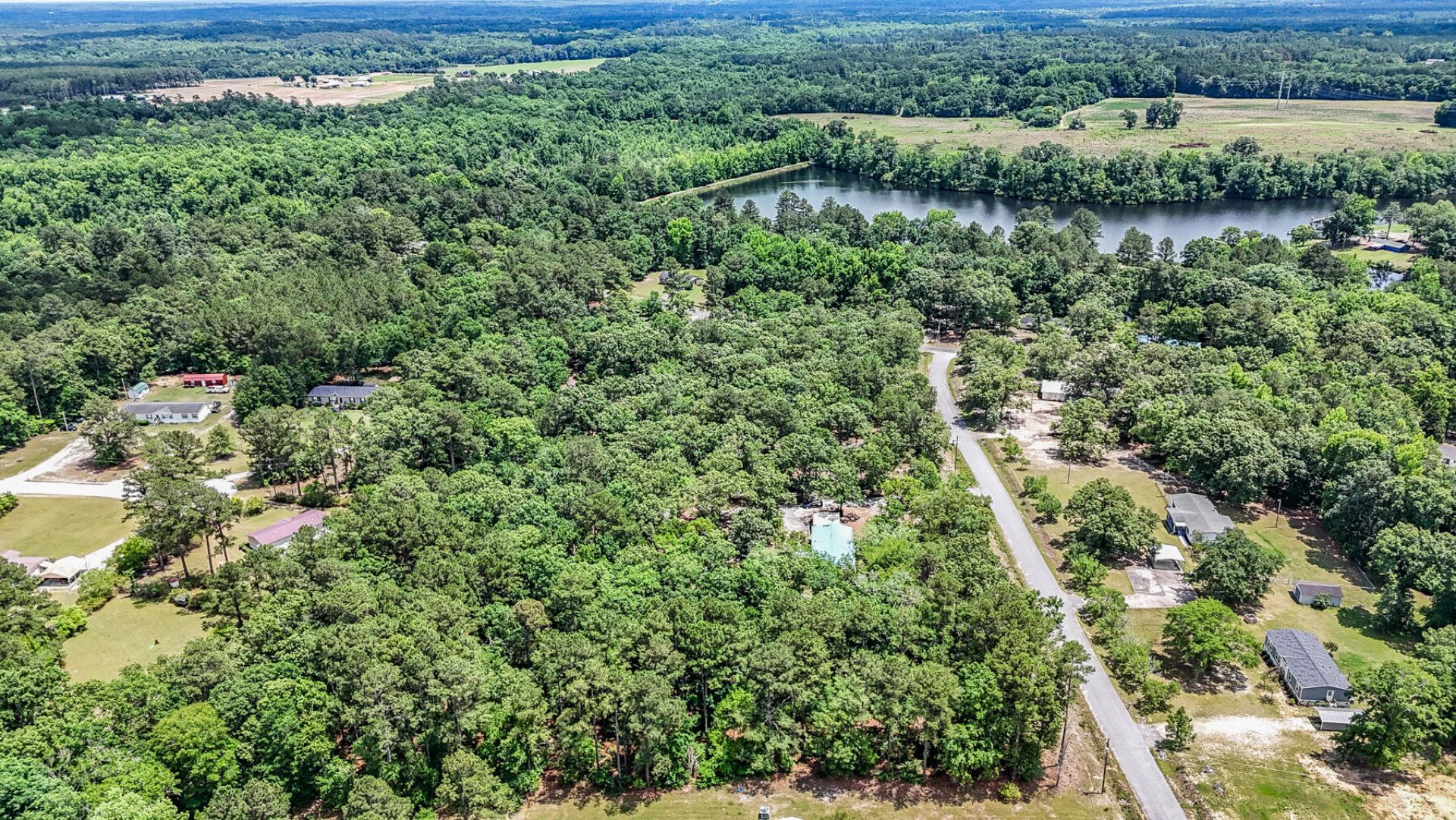39 Rosa Drive Photo 44