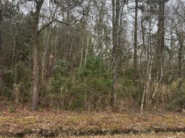 7557 Princess Ann Road, Evergreen, NC 28438