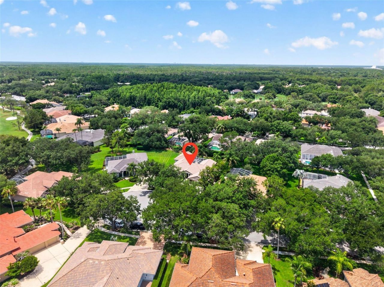 17804 Ridgeway Court, Tampa, FL 33647 Photo