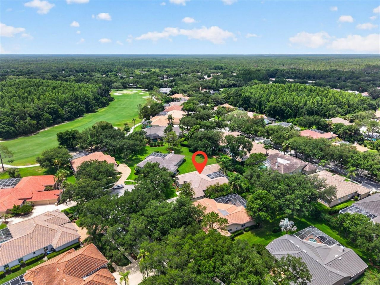 17804 Ridgeway Court, Tampa, FL 33647 Photo