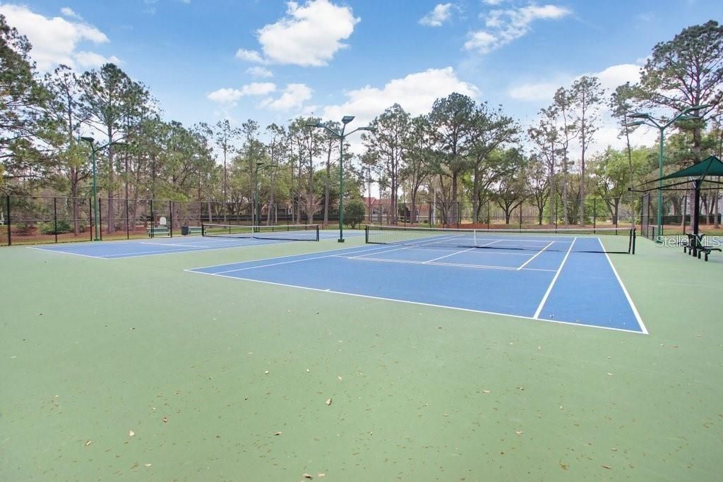 17804 Ridgeway Court, Tampa, FL 33647 Photo