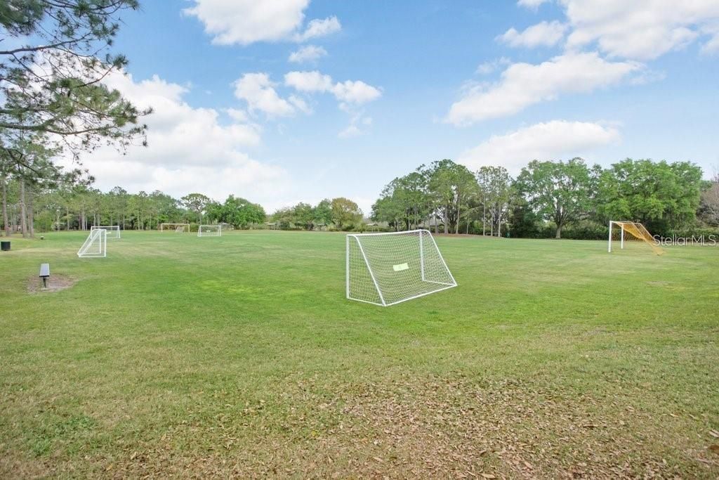 17804 Ridgeway Court, Tampa, FL 33647 Photo