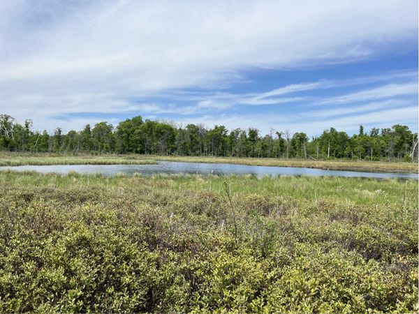 13384 Sorenson Lake Road , Merrifield, MN 56465