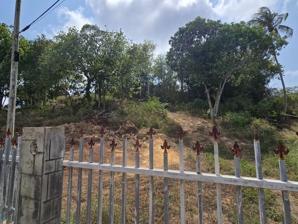 0 ENTRADA DE PLAYUELA CALLE MANGO, Aguadilla, PR 00603