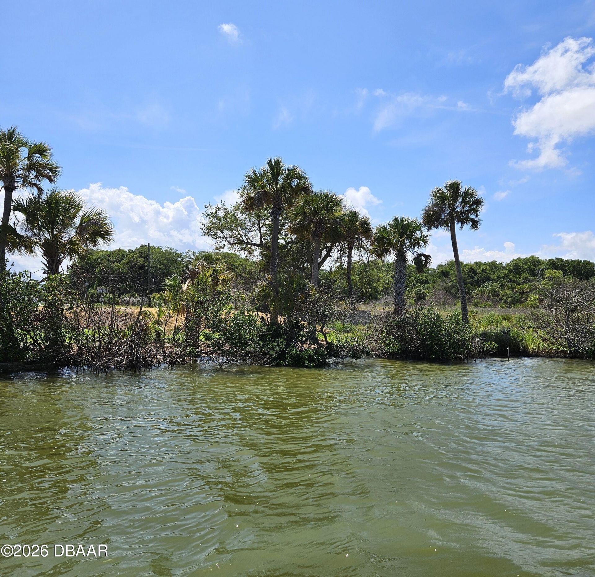 0 Jones Fish Camp Road, Edgewater, FL 32141 Photo
