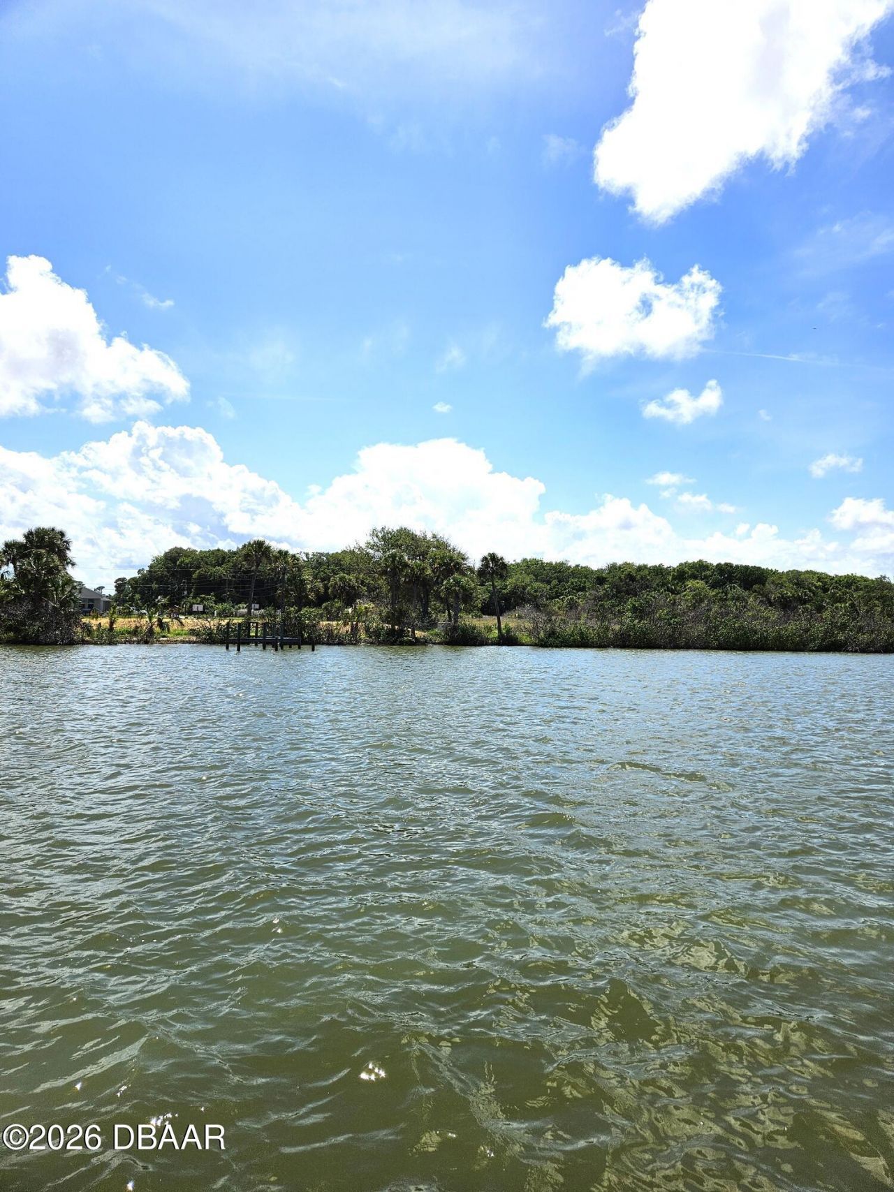 0 Jones Fish Camp Road, Edgewater, FL 32141 Photo