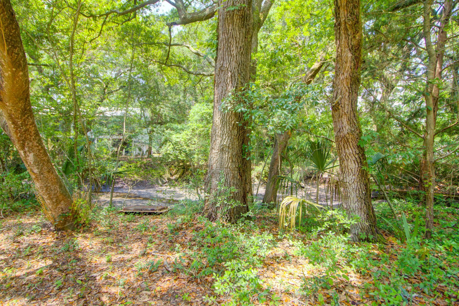 1584 Periwinkle Drive Photo 49