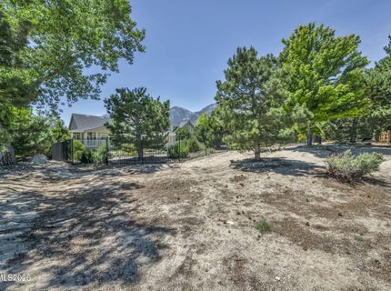 202 Taylor Creek Road, Gardnerville, NV 89460 Photo