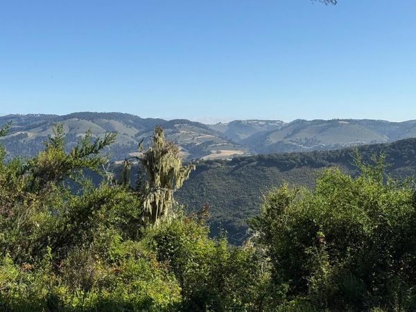 6 Rancho San Carlos (Lot E10) Road, Carmel, CA 93923