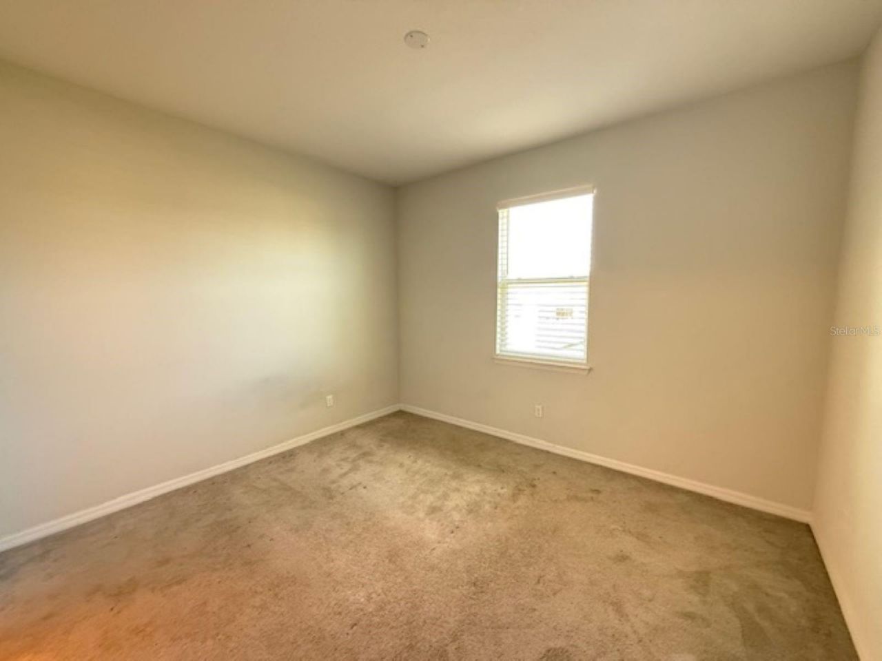 3550 Forster Avenue, Leesburg, FL 34748 Photo