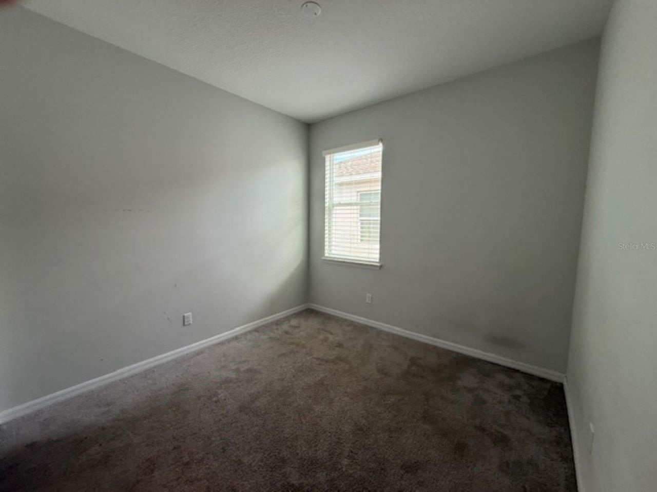 3550 Forster Avenue, Leesburg, FL 34748 Photo
