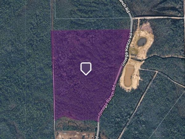 1135 OMEGA RANCH ROAD , Unit 4&5, NEW SMYRNA BEACH, FL 32168