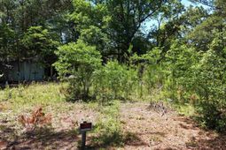 283 Cook Road  photo 4
