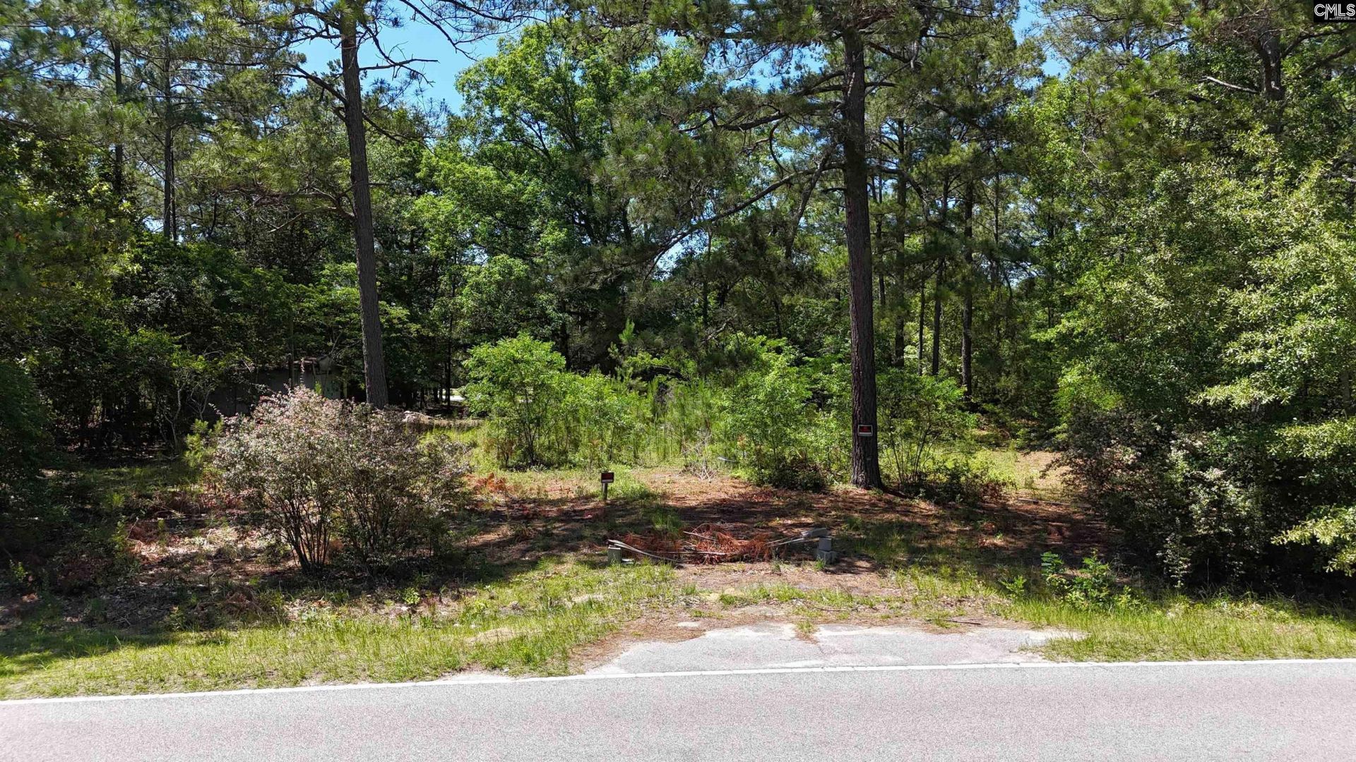 283 Cook Road  Photo 5