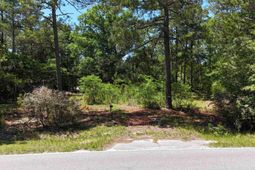 283 Cook Road  photo 4