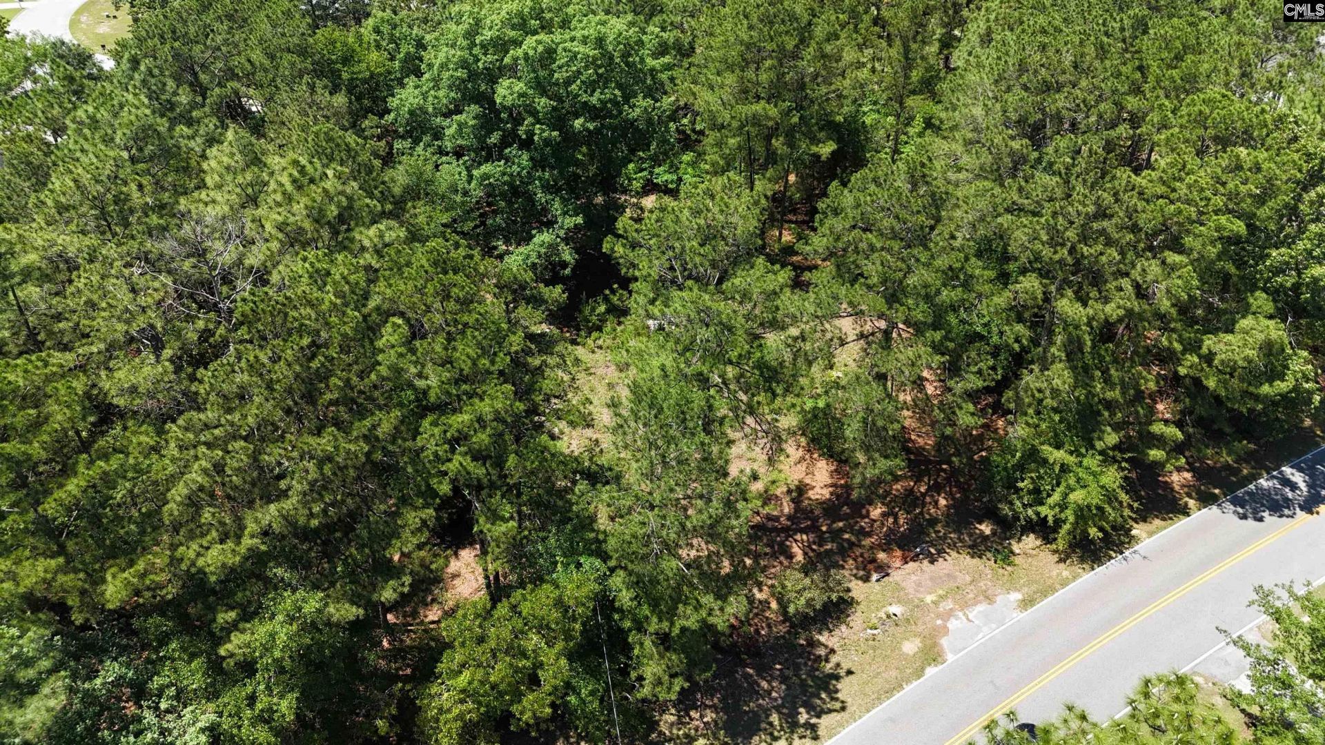 283 Cook Road  Photo 7