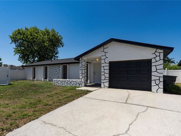 9501 CAMDEN HILL COURT , TAMPA, FL 33615