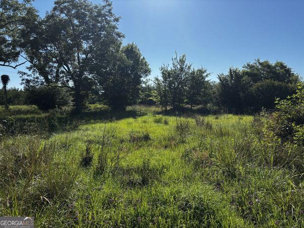 0 Bill Oliver Road, Wrightsville, GA 31096
