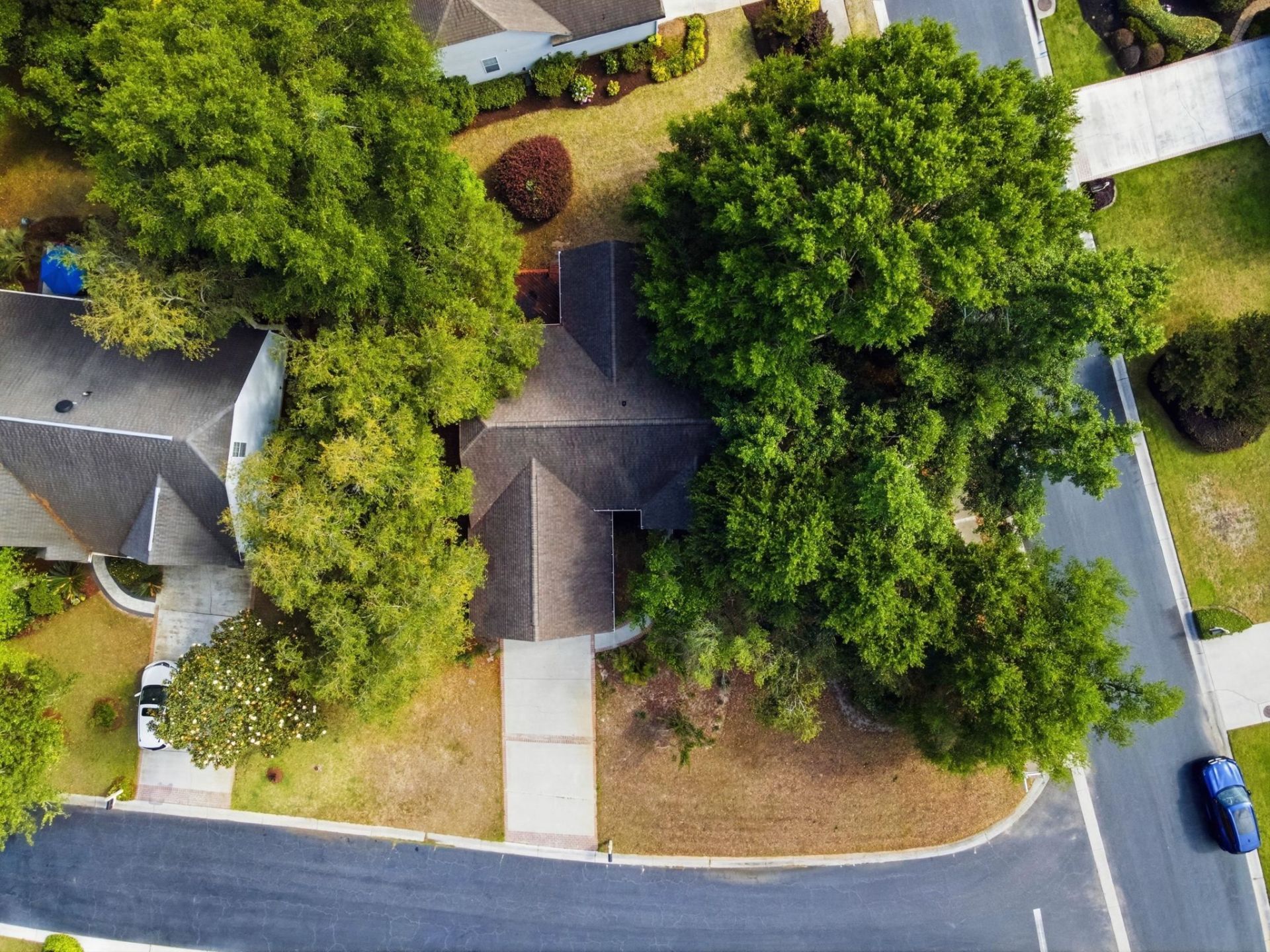 87 Low Country Ln.  Photo 62