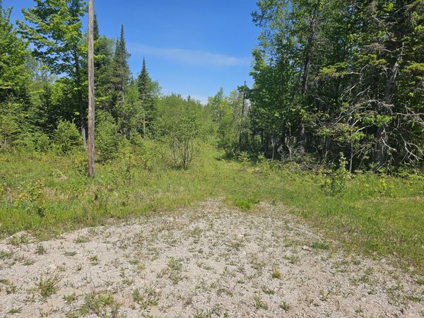 (A) Gager RD, Engadine, MI 49827