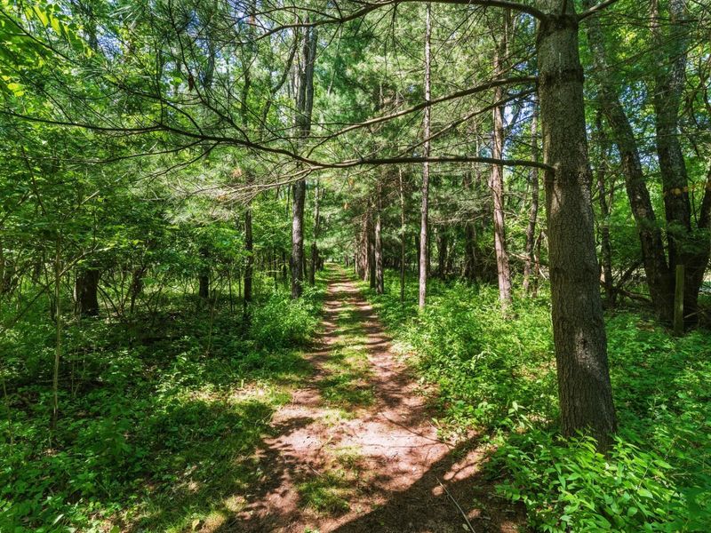 11775 Woodtown Road , Galena, OH 43021 Photo 15