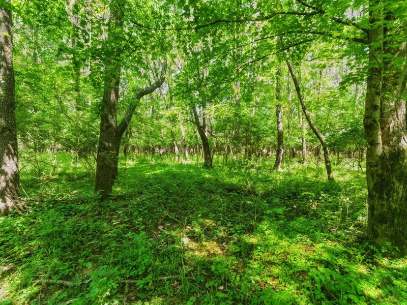 11775 Woodtown Road , Galena, OH 43021 Photo 19