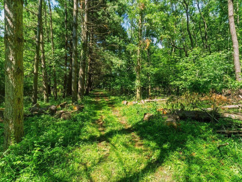 11775 Woodtown Road , Galena, OH 43021 Photo 20