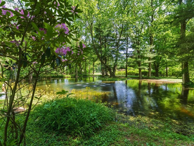 11775 Woodtown Road , Galena, OH 43021 Photo 5